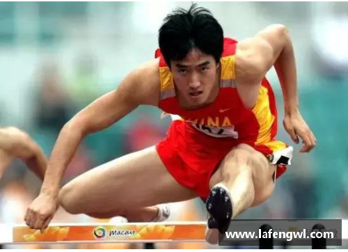 中国体育明星风采：闪耀体坛的传奇人物